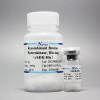重组牛肠激酶(组氨酸标签)-200U(酶工具)