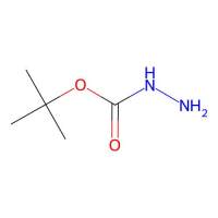 叔丁氧羰基肼，870-46-2，10mM in DMSO，阿拉丁