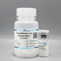 重组核心链霉亲和素-10mg(IVD原料)NRPA09V1