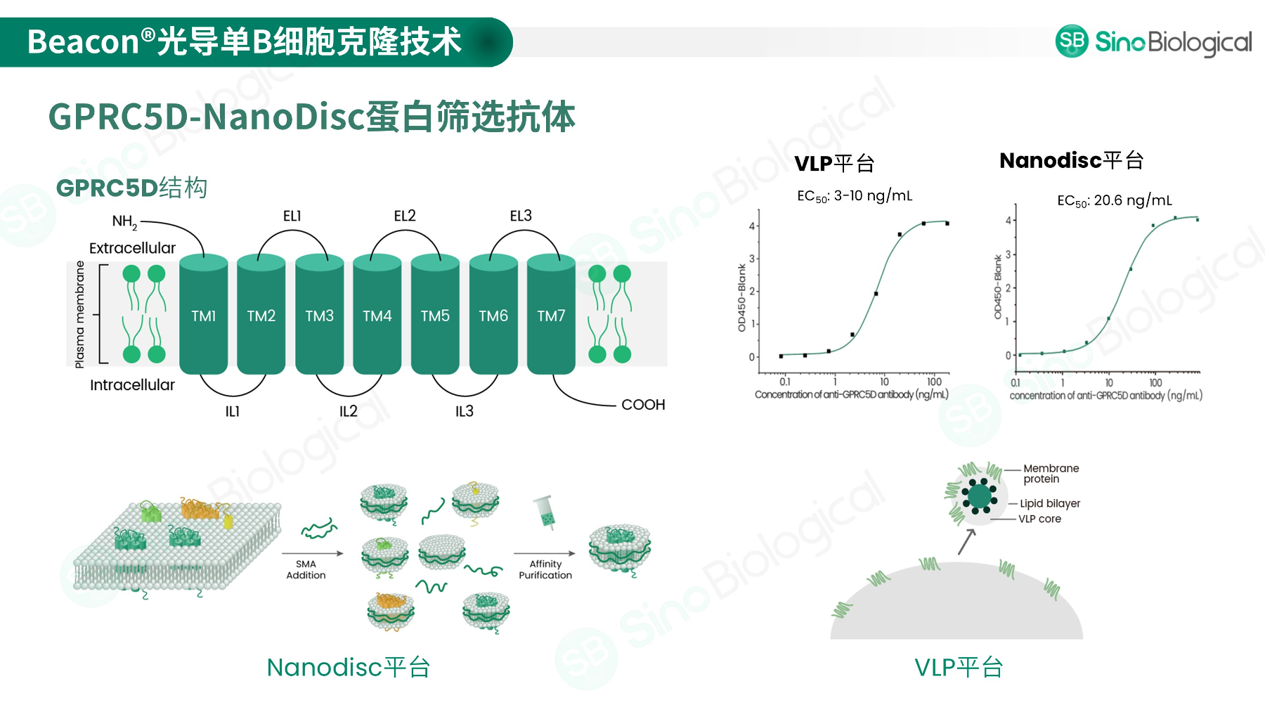 ppt