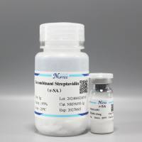 重组链霉亲和素-10mg（IVD原料）NRPA05V1