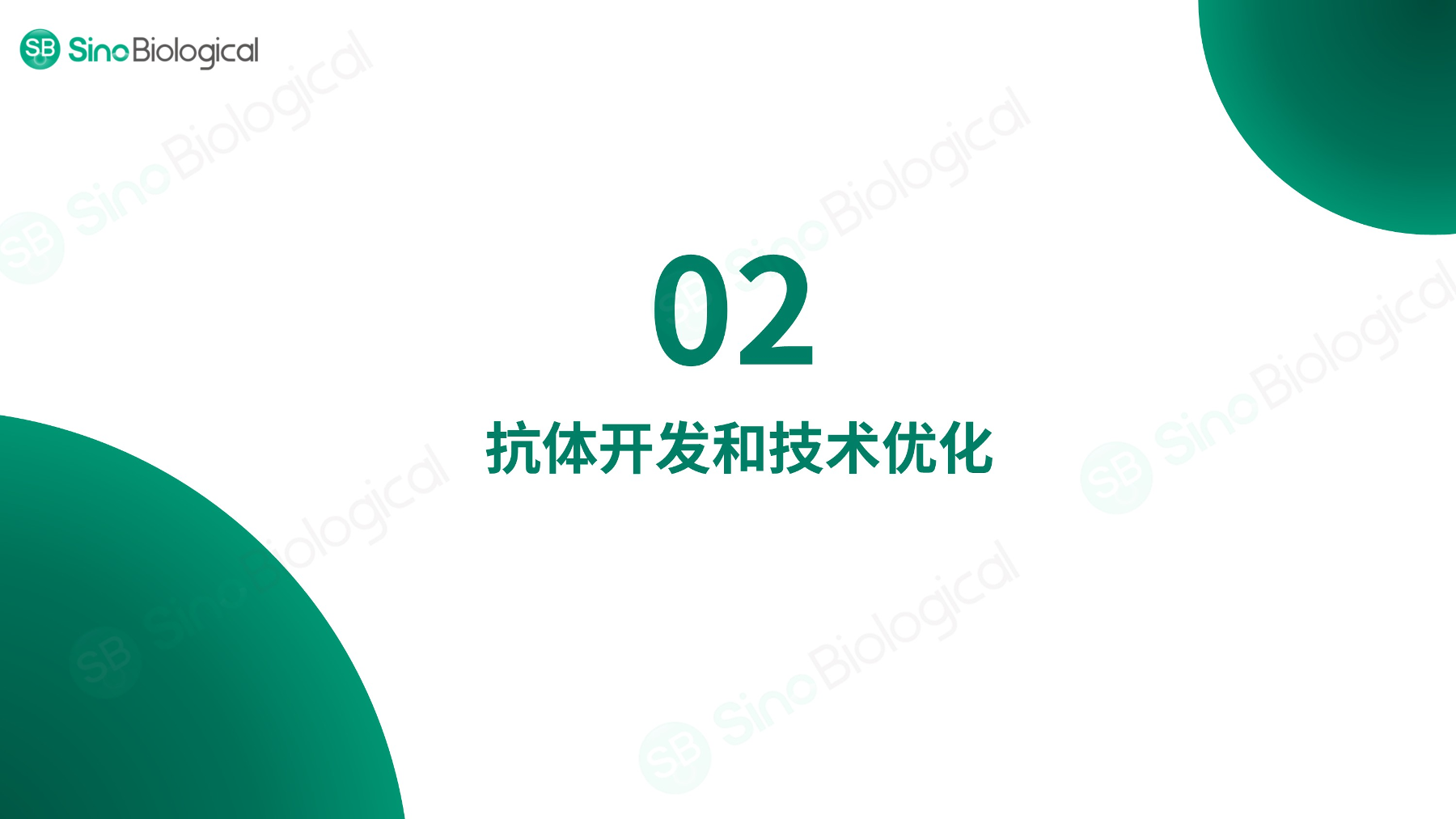 ppt