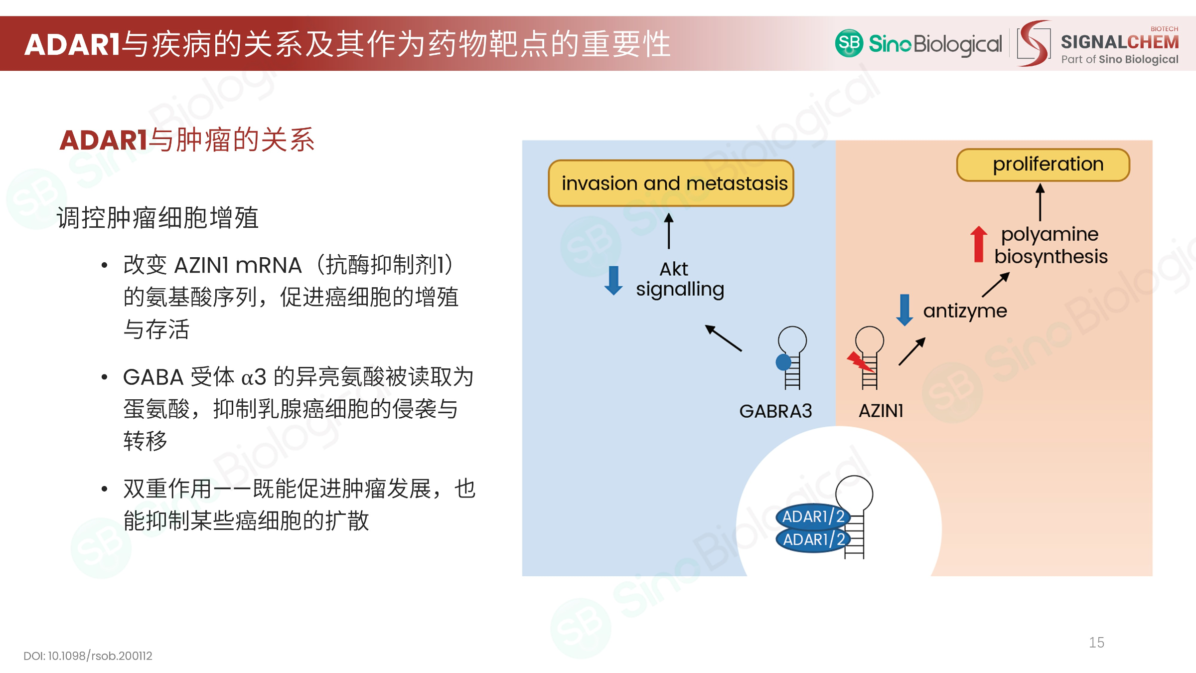 ppt