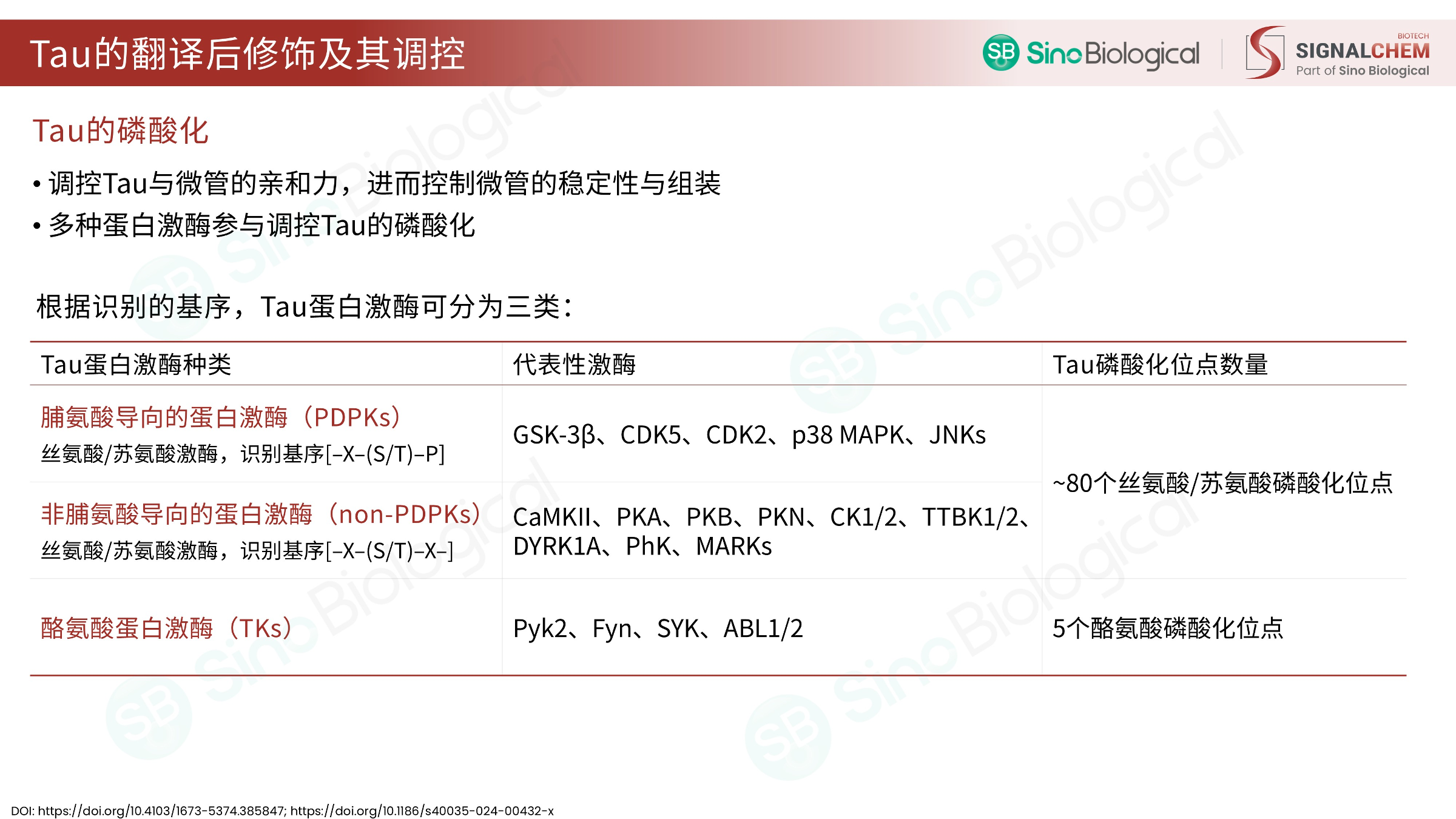 ppt