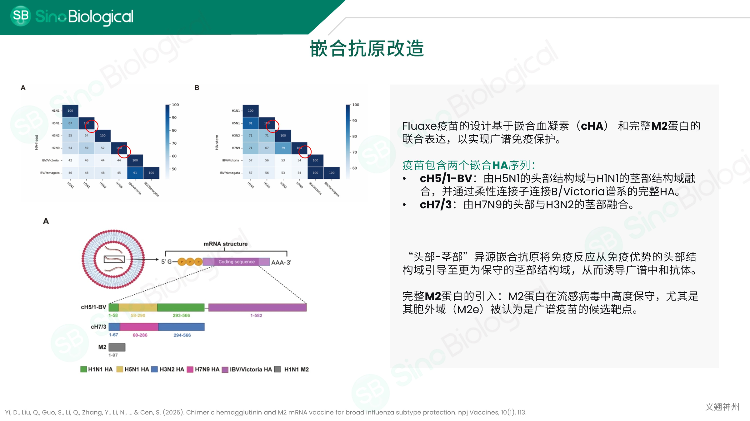 ppt