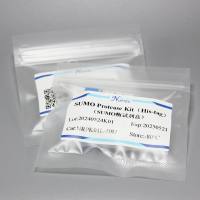 SUMO蛋白酶试剂盒-500U(试剂盒)