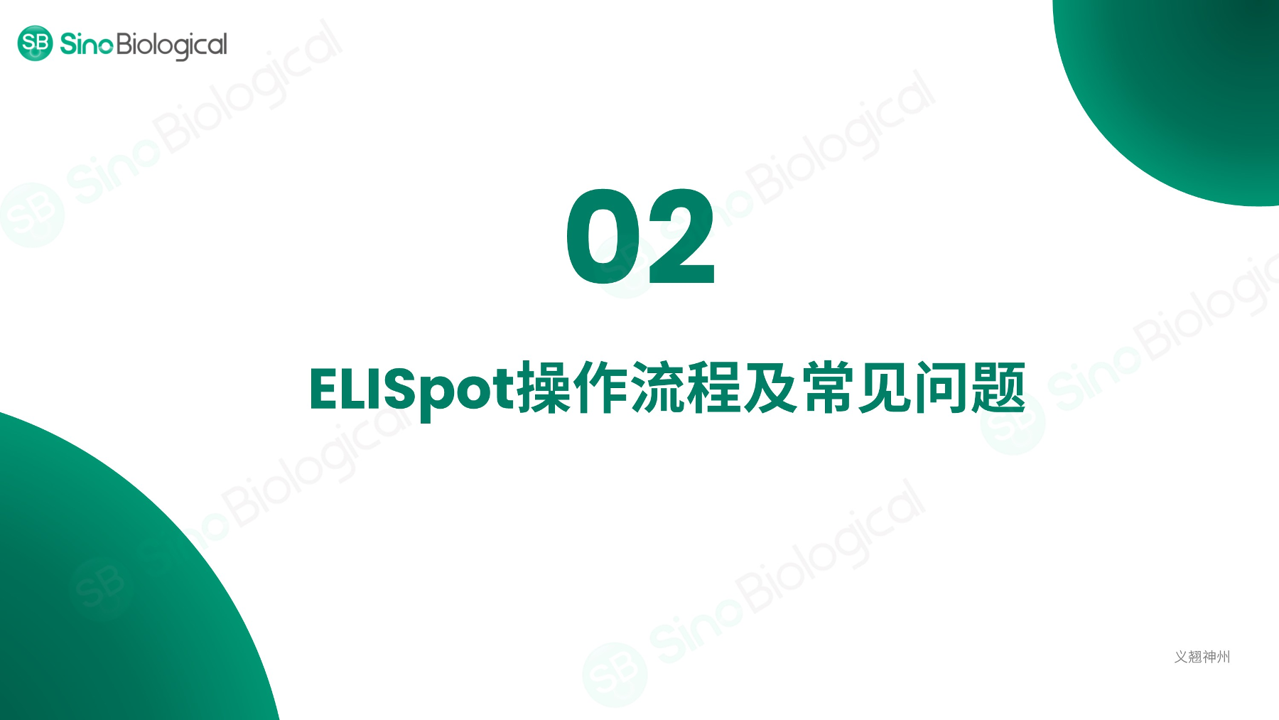 ppt