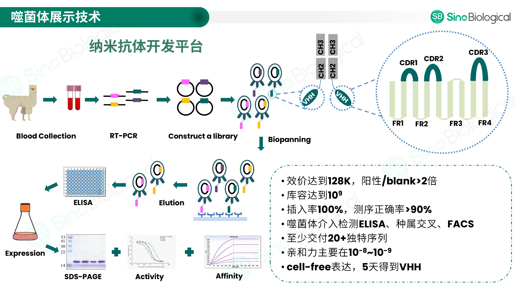 ppt
