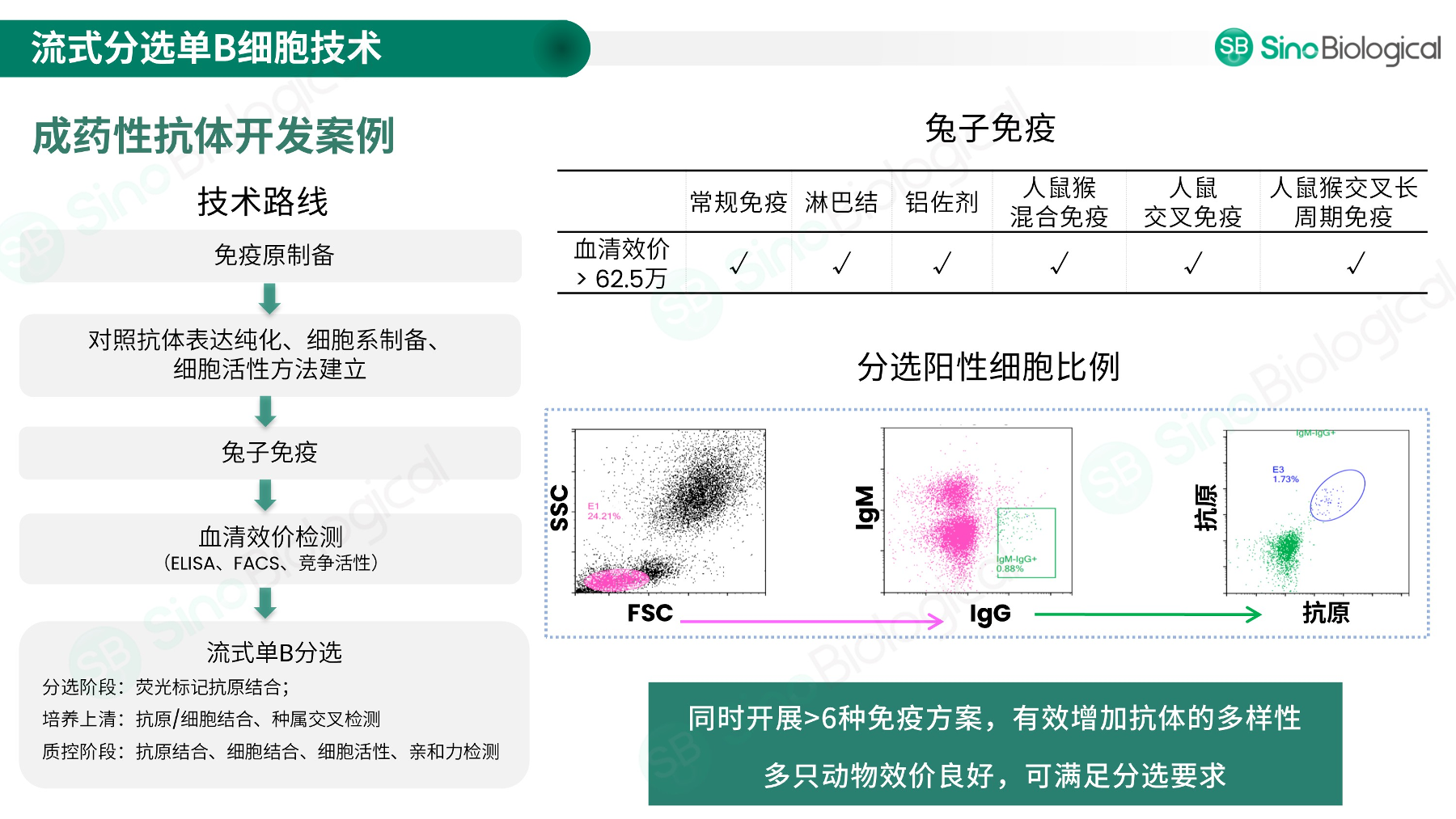 ppt