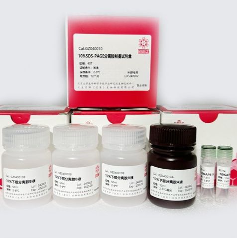 10% SDS-PAGE分离胶制备试剂盒