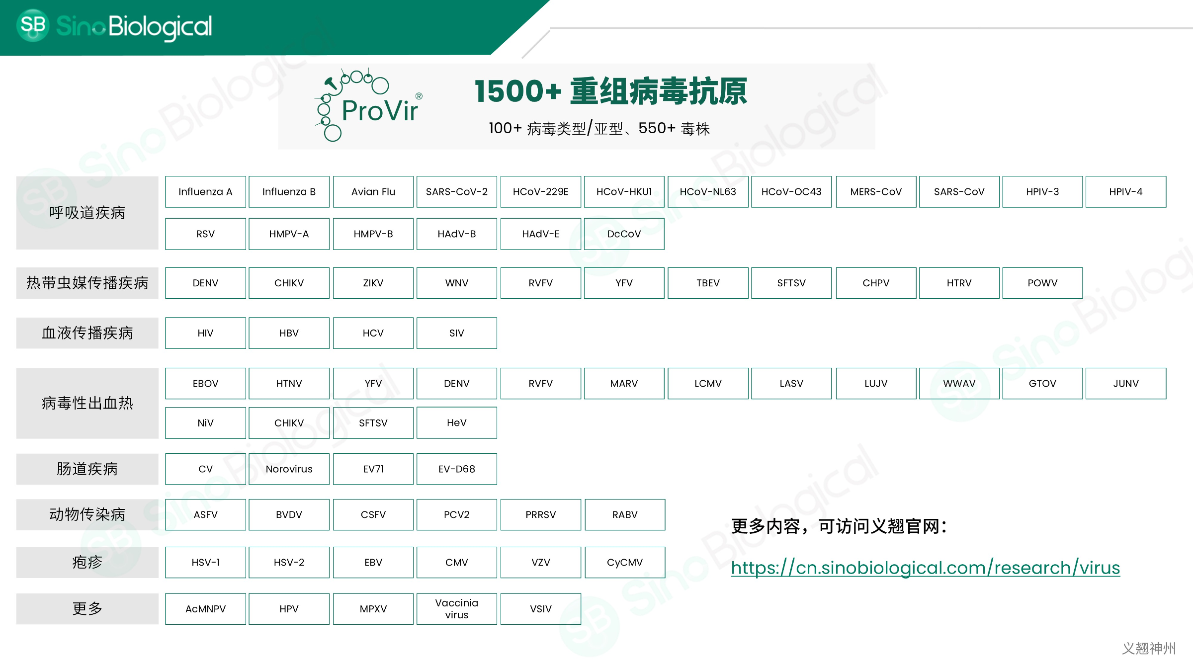 ppt