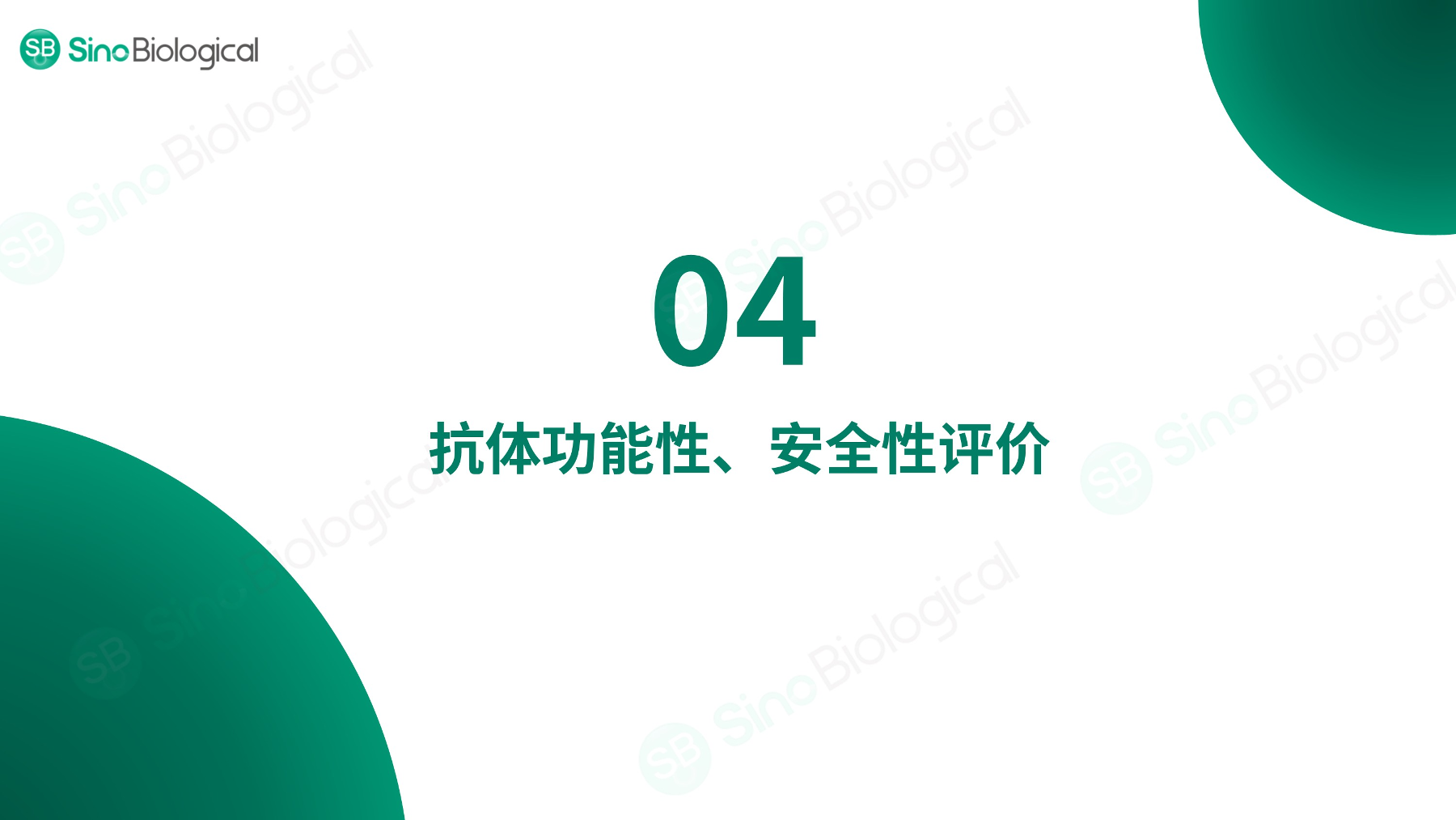 ppt