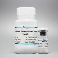 重组人生长激素(rh-GH)-1mg(细胞培养系列)