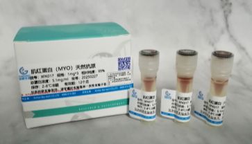信帆生物：肌红蛋白的使用注意事项
