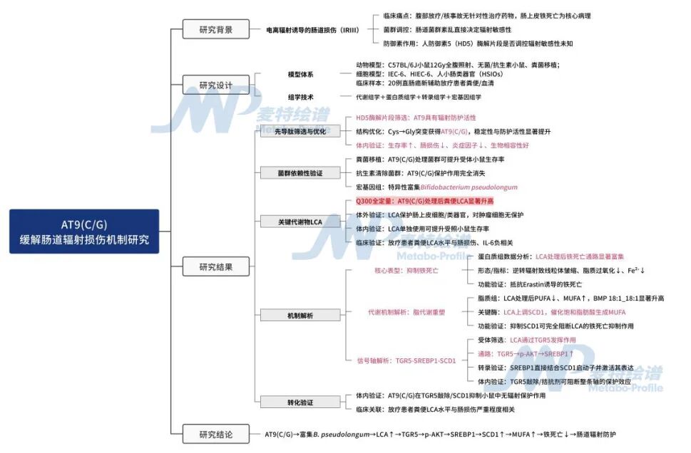 客户案例 | iMeta "微生物-代谢轴"实现肠上皮铁死亡逆转：肠道辐射损伤的防御肽拯救计划
