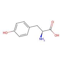 L-酪氨酸，60-18-4，Moligand™, 无动物源, 低内毒素, 用于细胞培养, ≥99%，阿拉丁