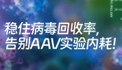 告别AAV实验内耗！两款专用裂解液稳住病毒回收率