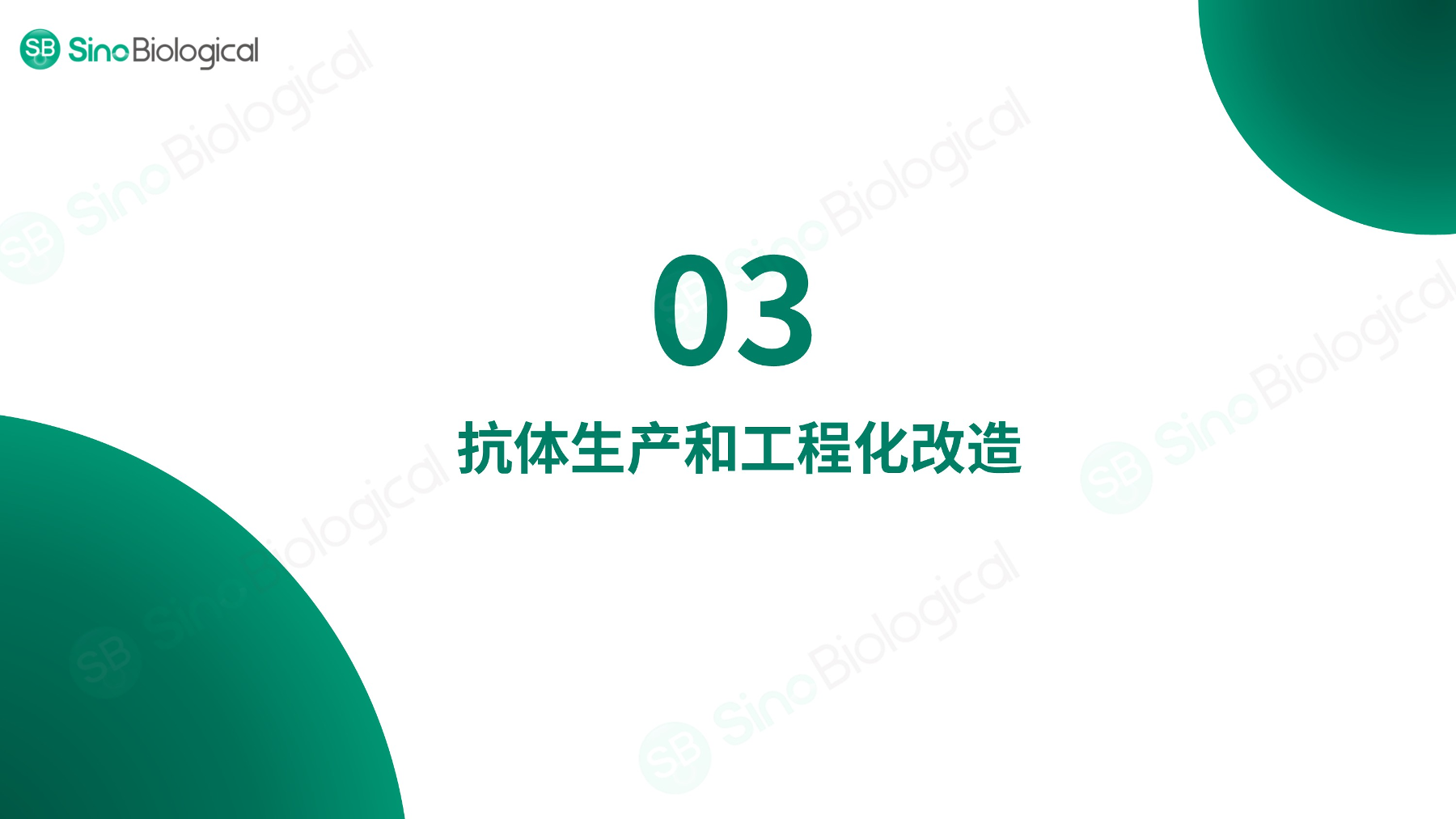 ppt