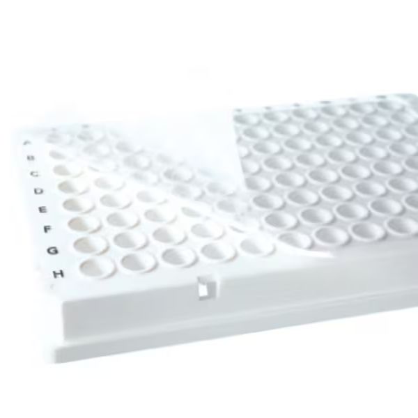Thermo Scientific™ Abgene货号AB-1170现货ABsolute qPCR封板膜19121878899上海睿安生物产品图