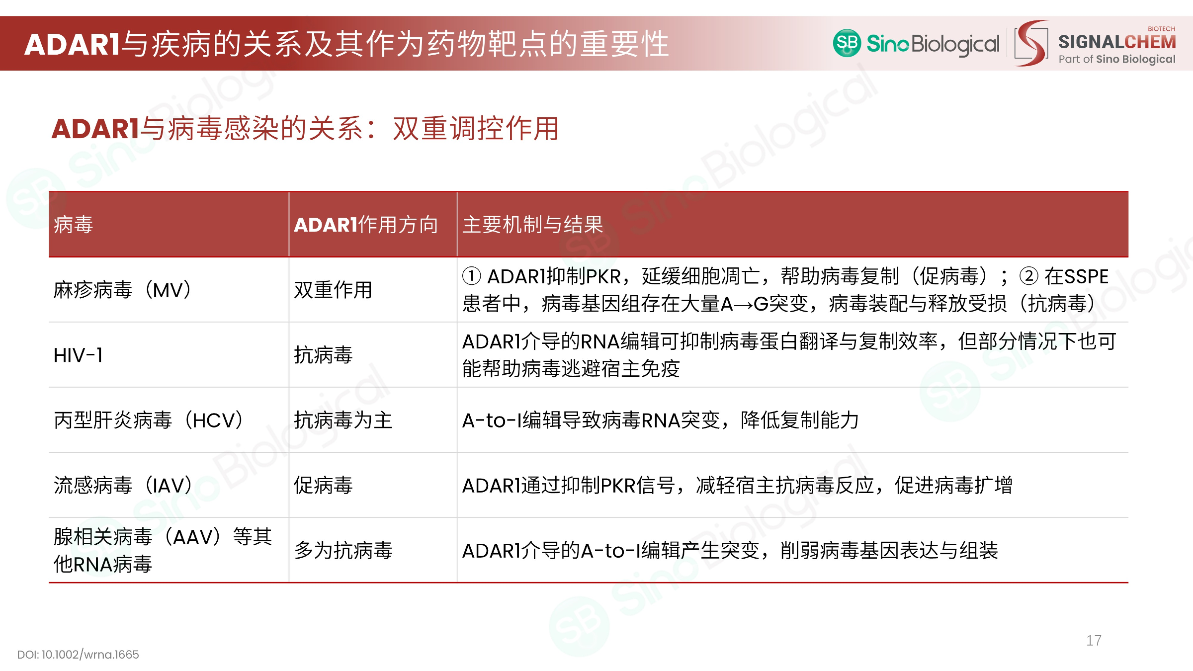 ppt