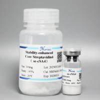 增强稳定型核心链霉亲和素4-10mg(IVD原料)