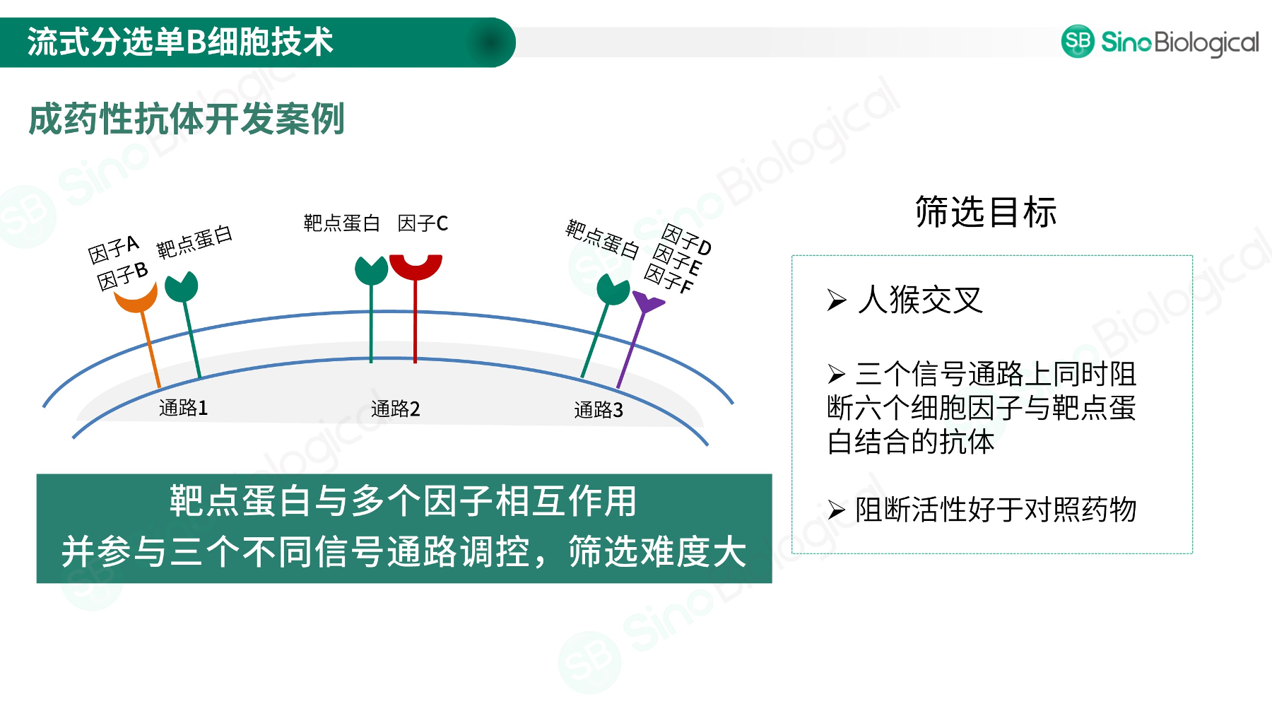 ppt