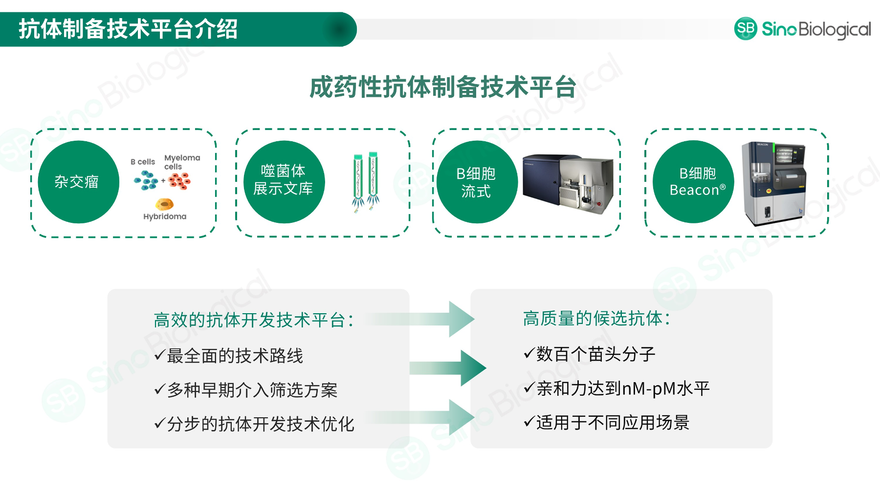 ppt