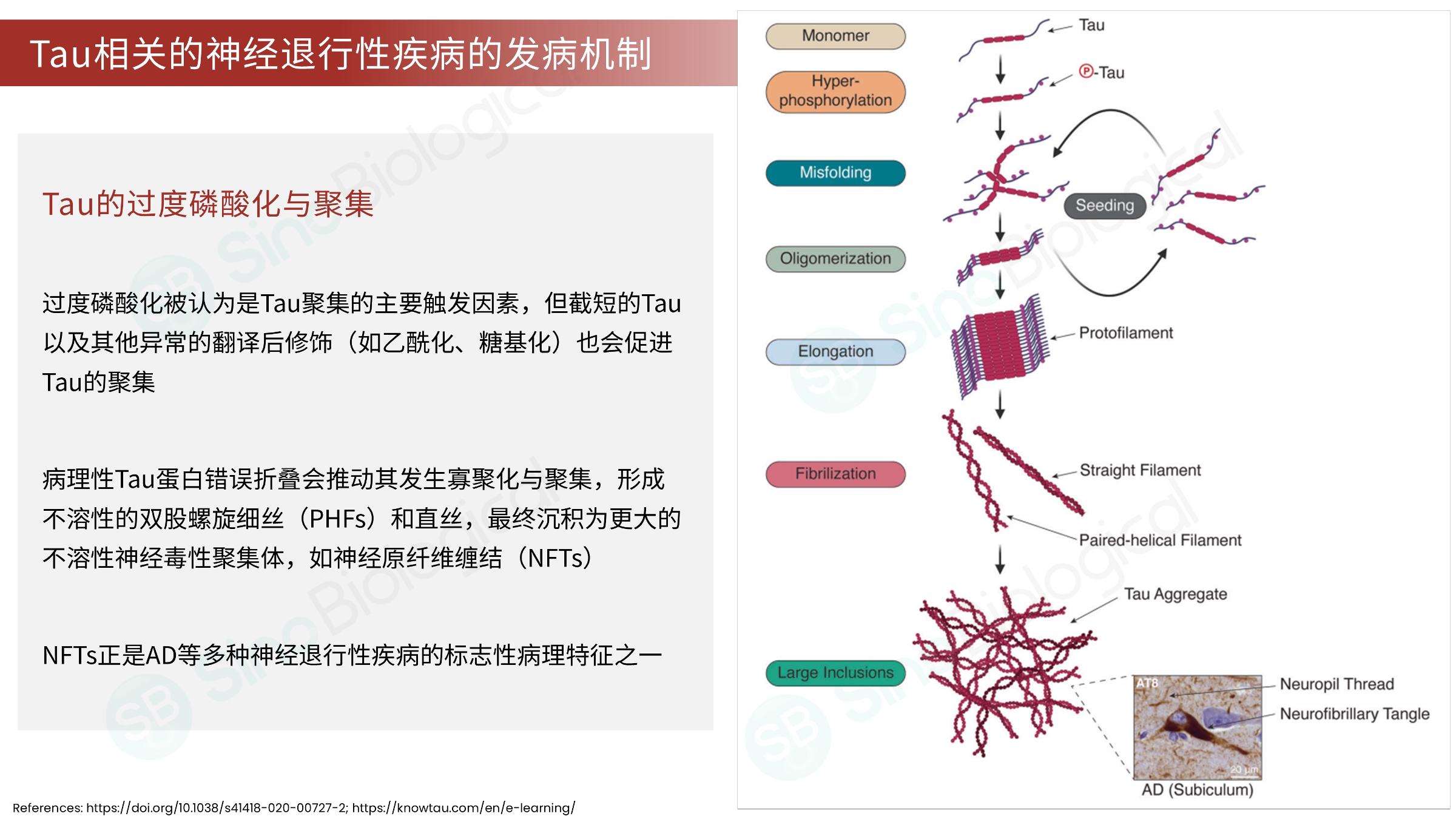ppt