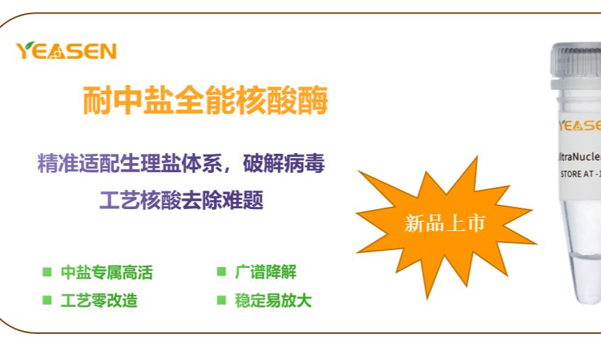 新品上市 | 翌圣耐中盐全能核酸酶，精准适配生理盐体系，破解病毒工艺核酸去除难题