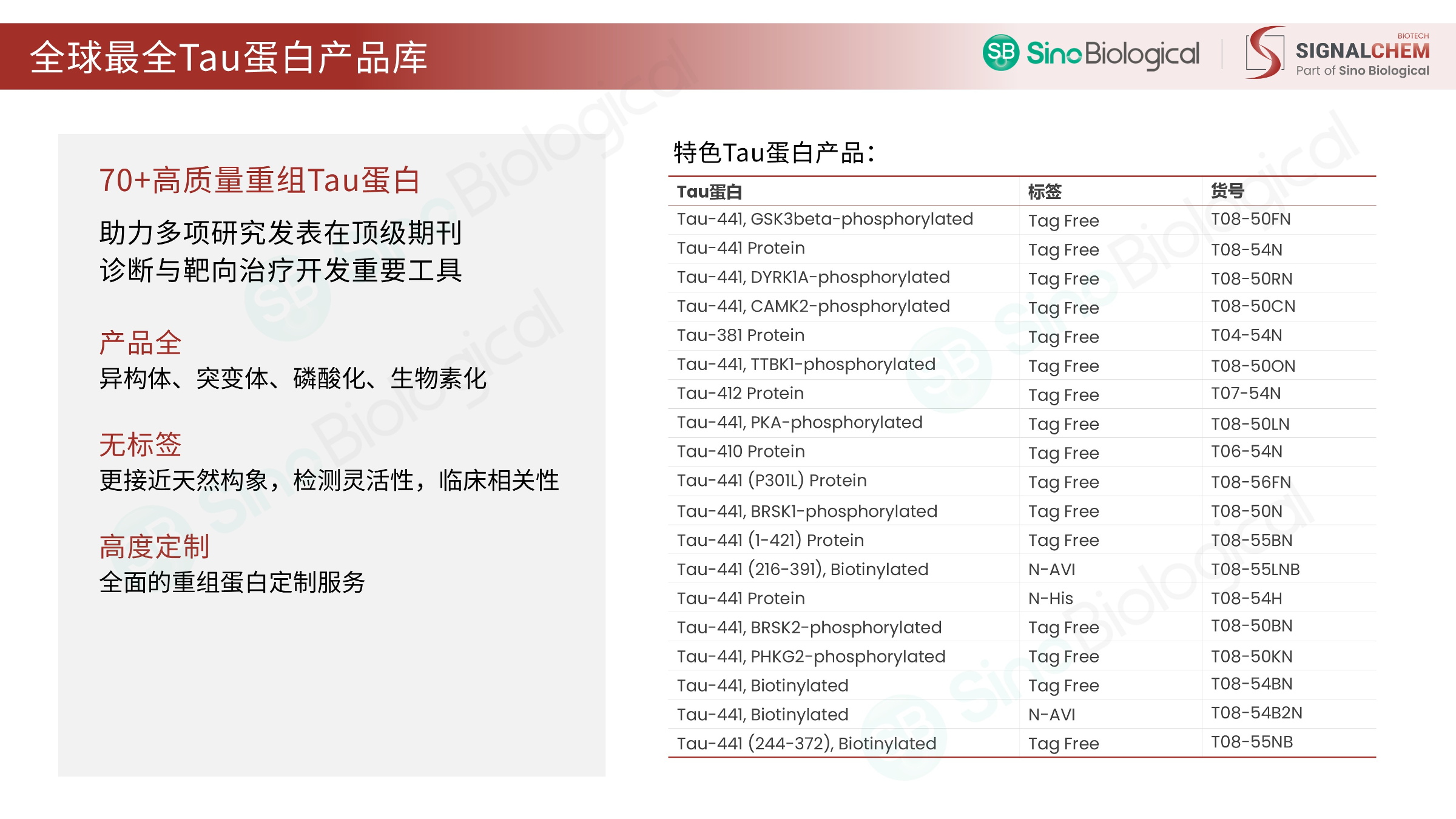 ppt