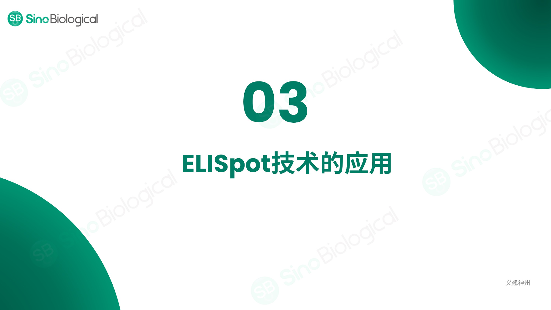 ppt