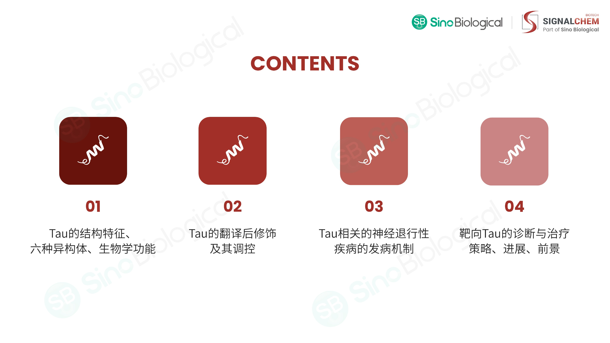 ppt