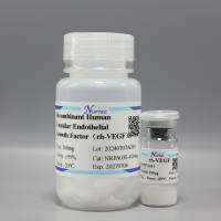 重组人源血管内皮生长因子-10ug(细胞培养系列)