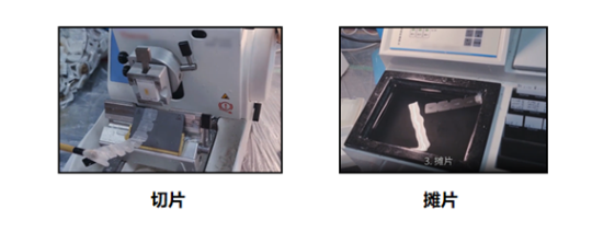 免疫组化 (IHC) 实验方案——石蜡切片