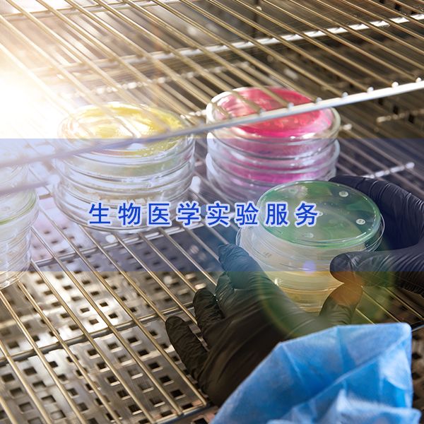 最小抑菌浓度MIC实验