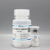 小扁豆凝集素-10mg(亲和蛋白系列)