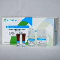 Annexin V-APC/7-AAD 细胞凋亡检测试剂盒