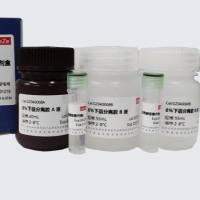8% SDS-PAGE分离胶制备试剂盒