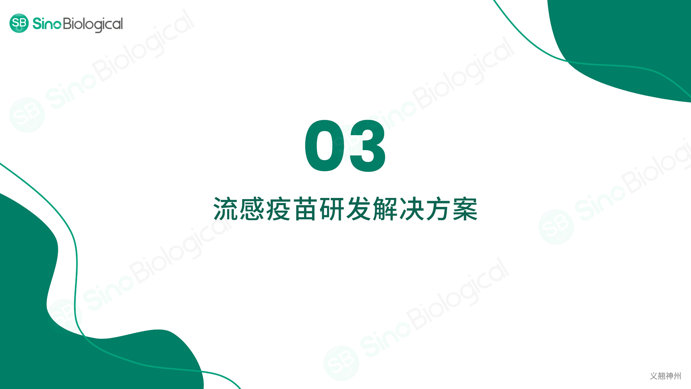 ppt