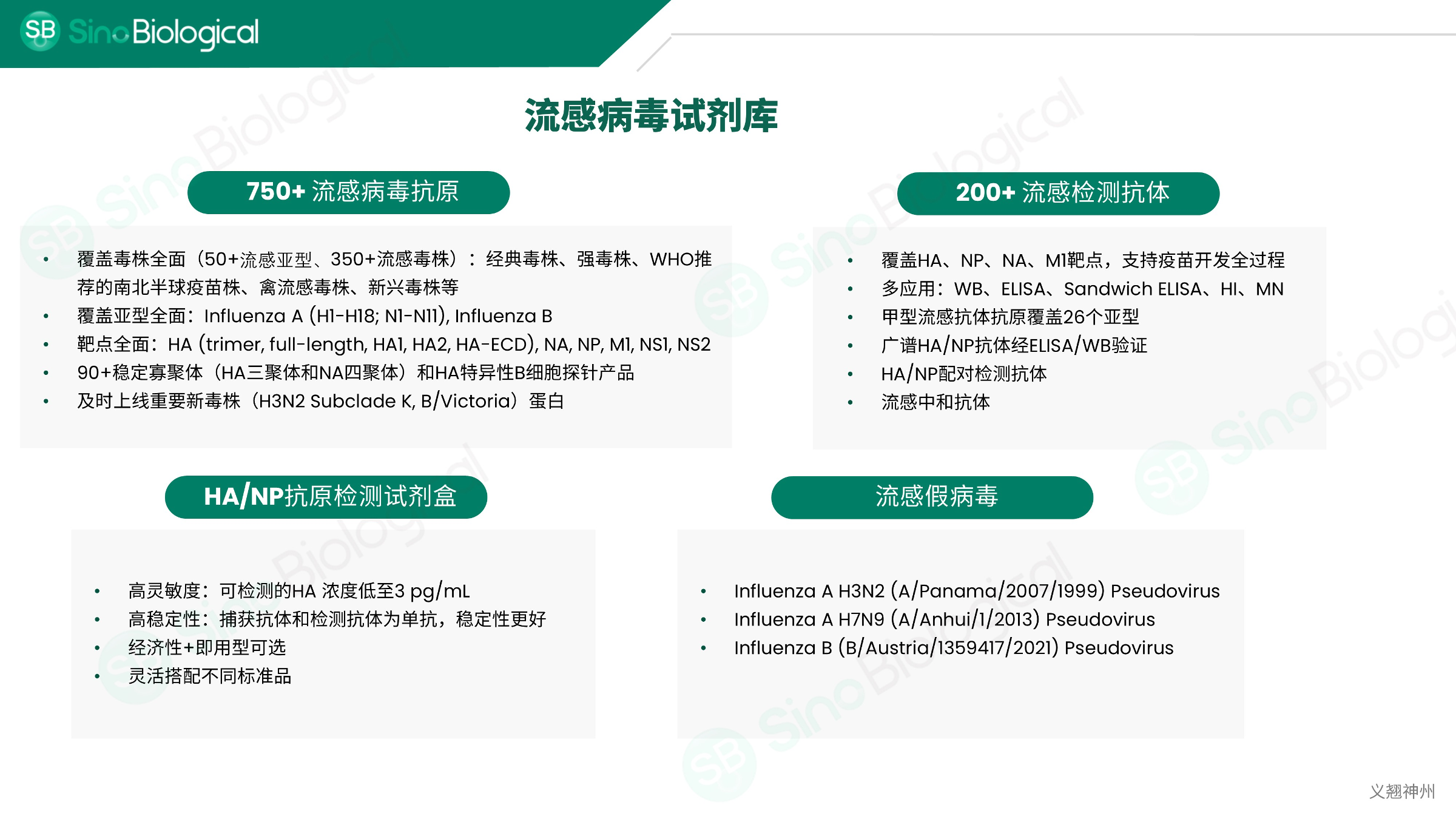 ppt