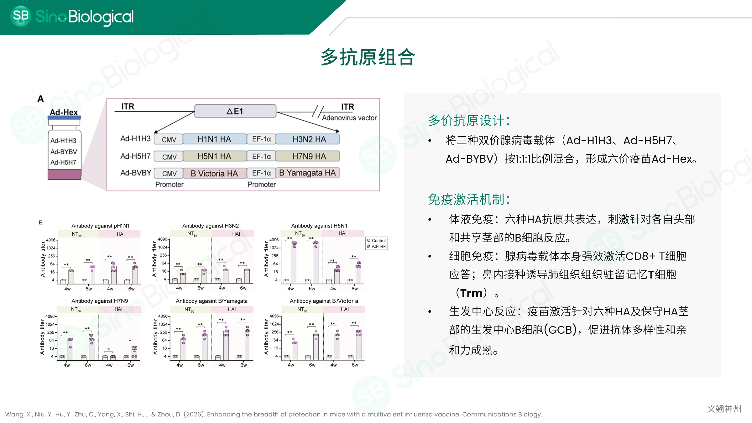 ppt