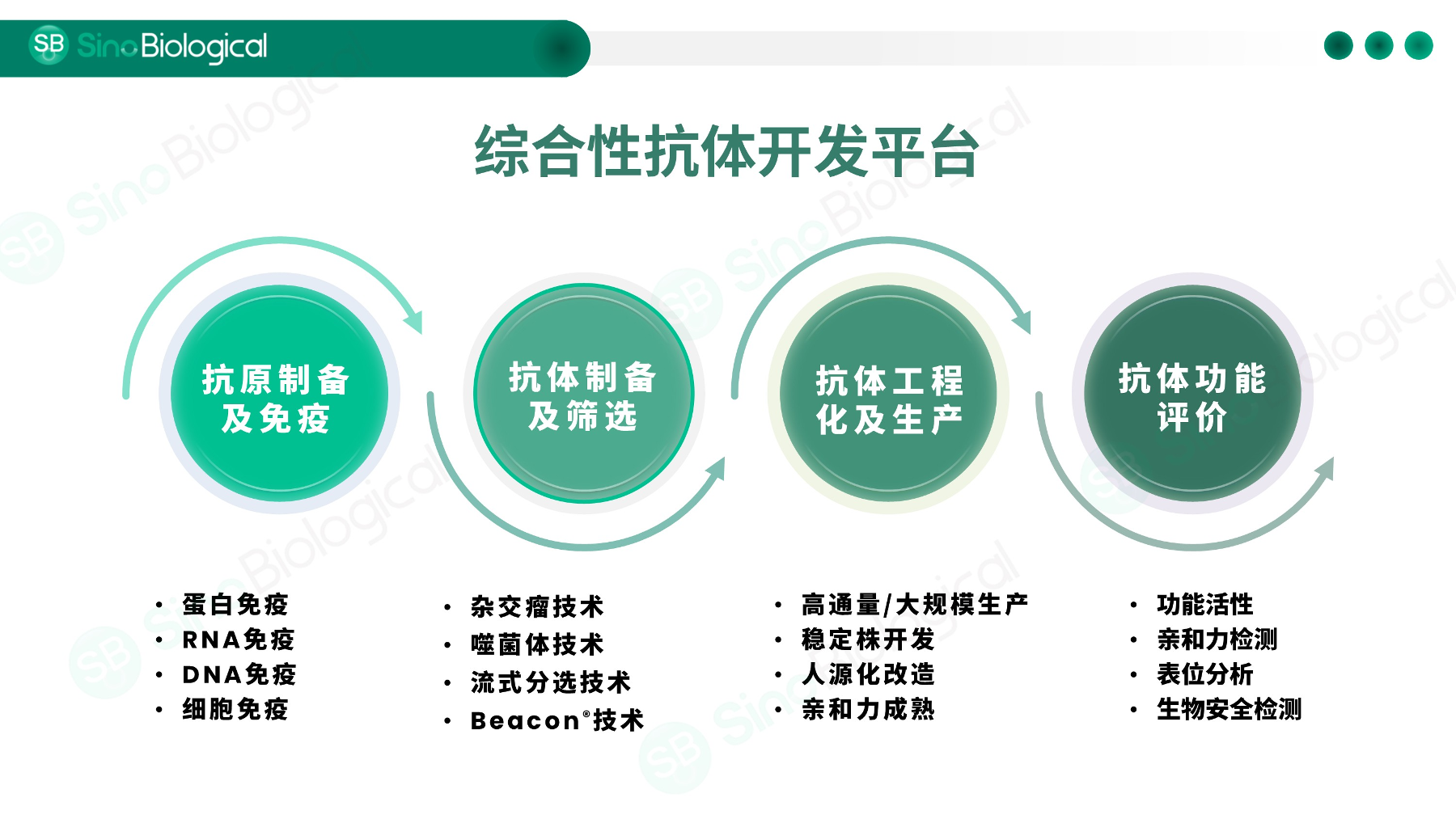 ppt