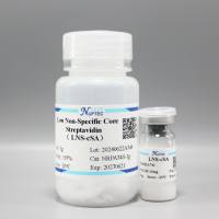低非特异性核心链霉亲和素-10mg（IVD原料）
