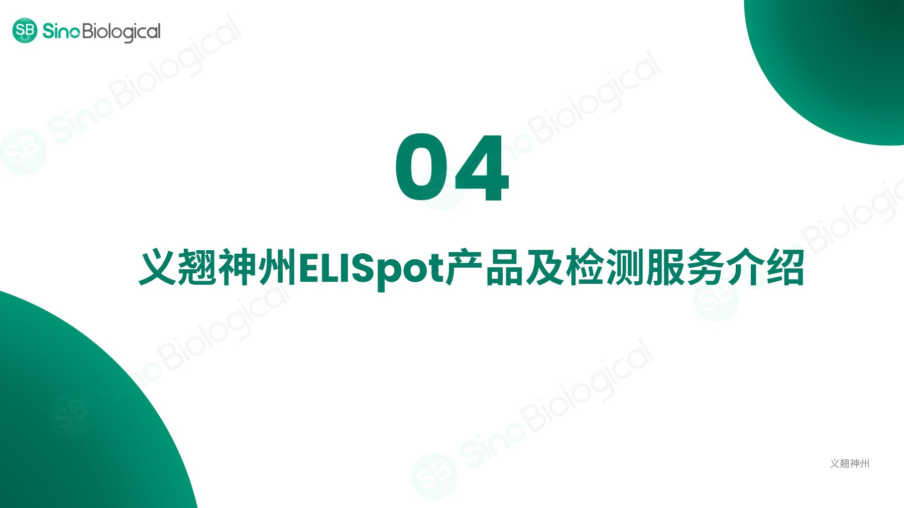 ppt