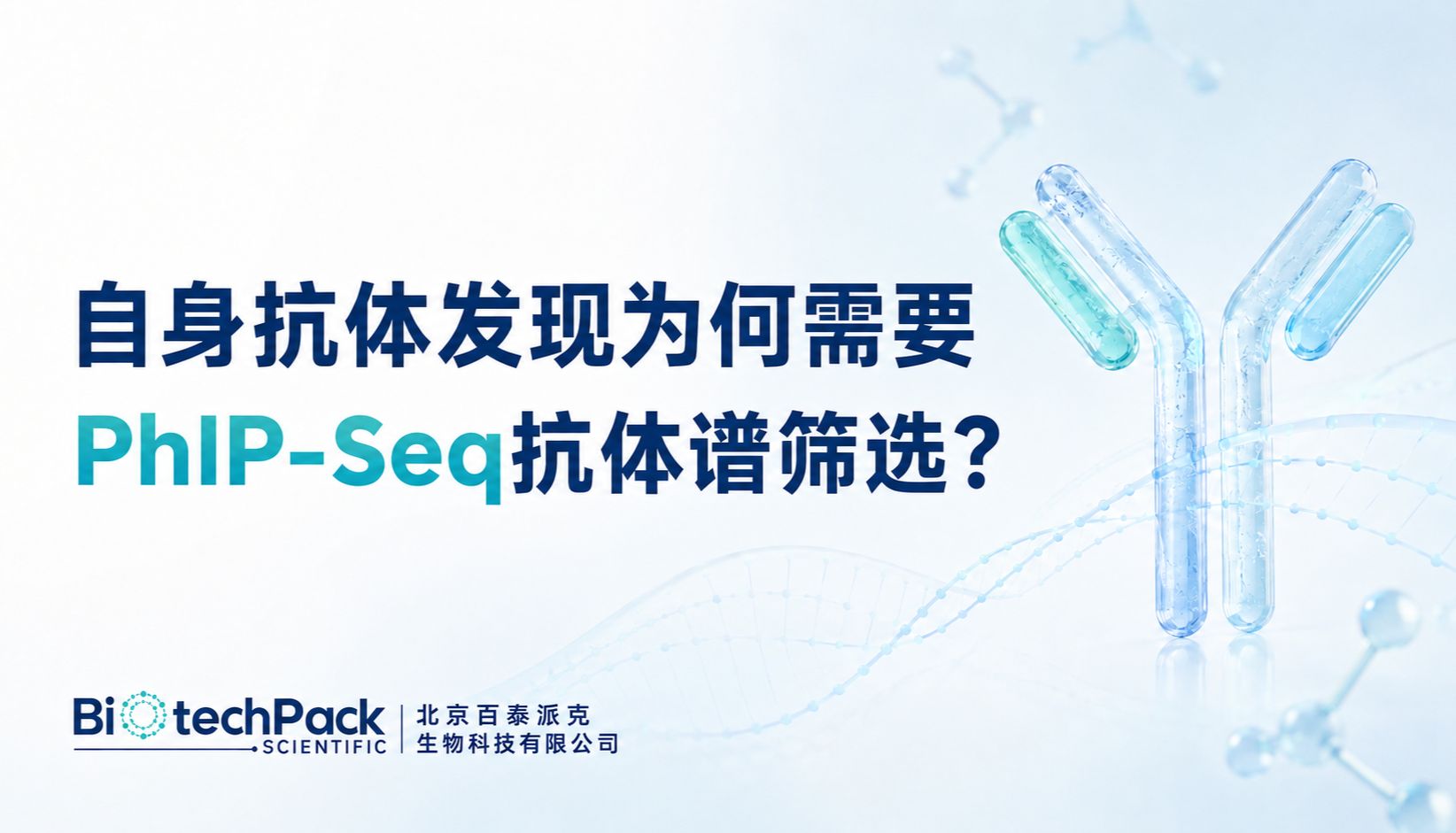 新品动态 | 自身抗体发现为何需要PhIP-Seq抗体谱筛选？