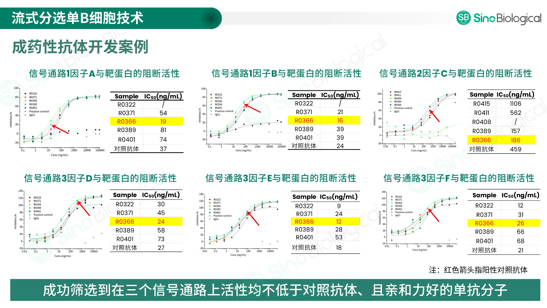 ppt