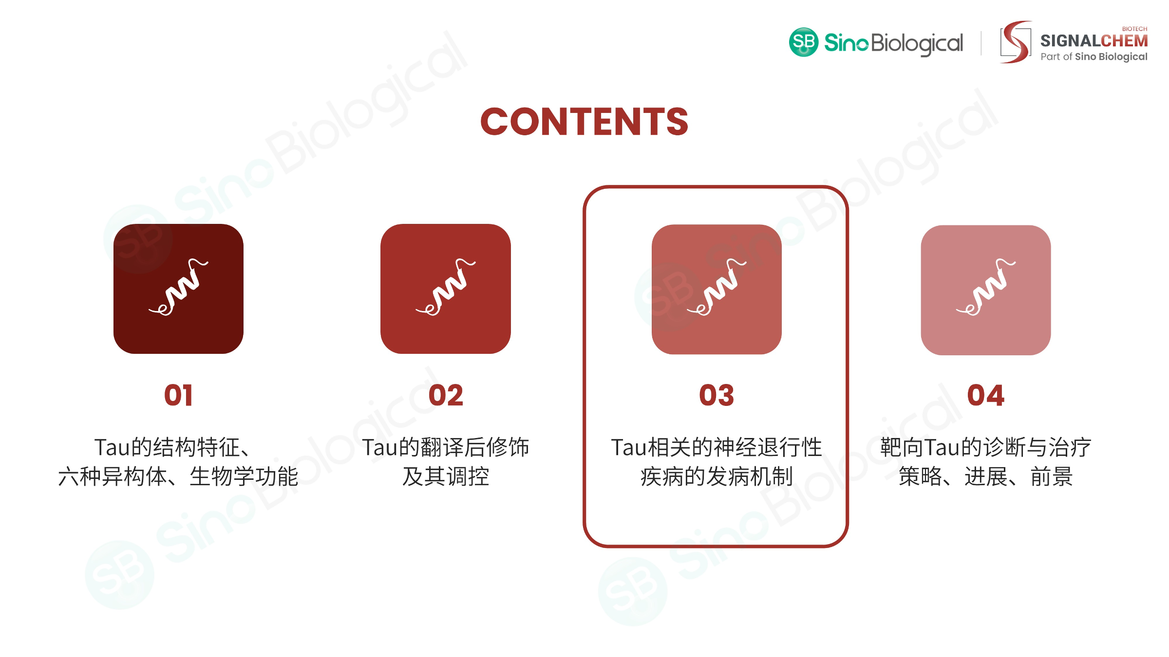 ppt