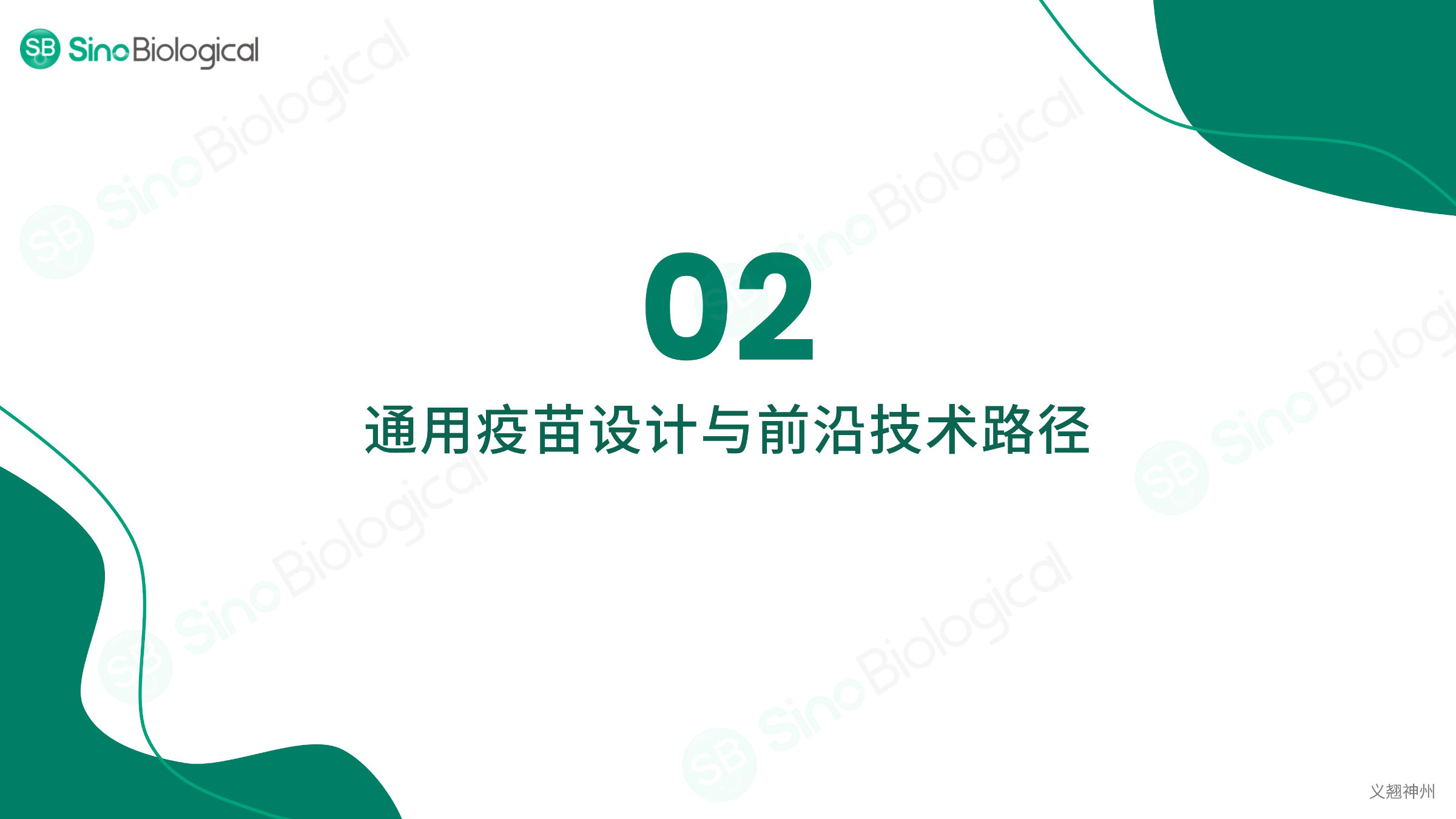 ppt