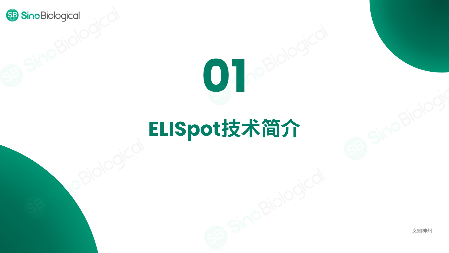 ppt