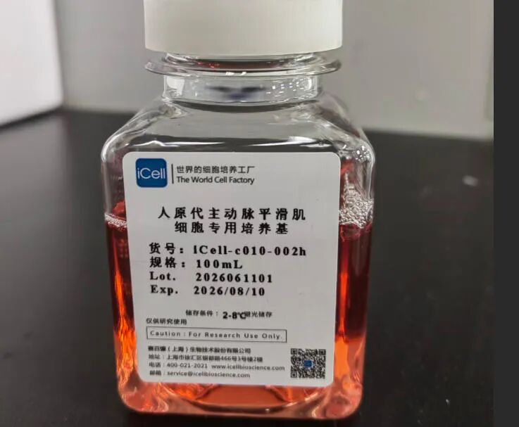新闻图片12
